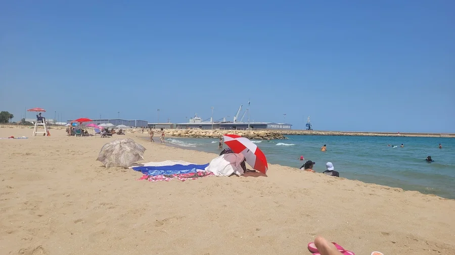 Fréquentation de la plage de Marenys de Rafalcaid