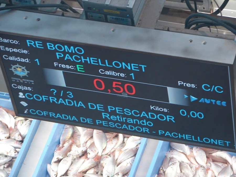 Criée aux poissons de Gandía