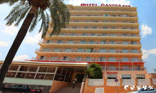 dc hoteles Hotel Gandía playa chien admis