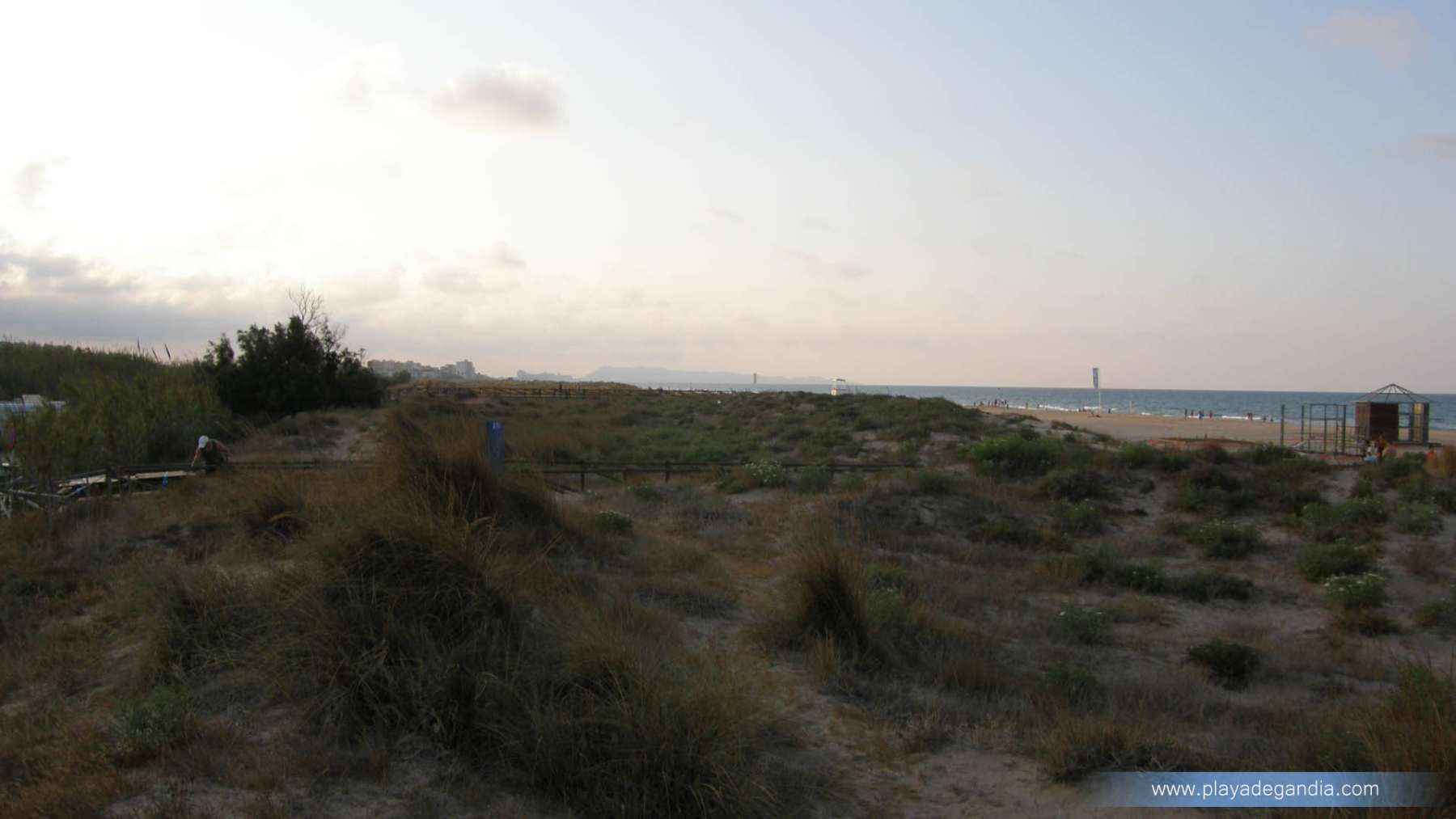 Ahuir Beach Coastal Ecosystem