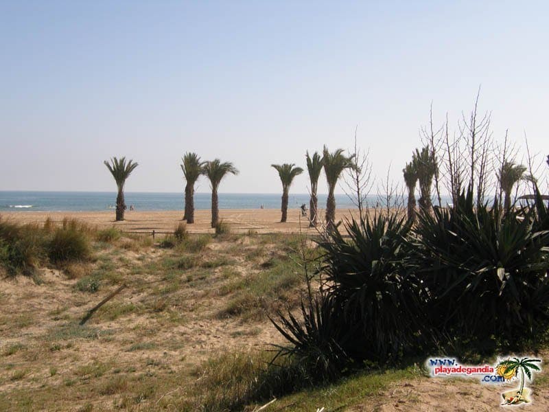 Playa de Ahuir Gandia Un paraiso junto al mar